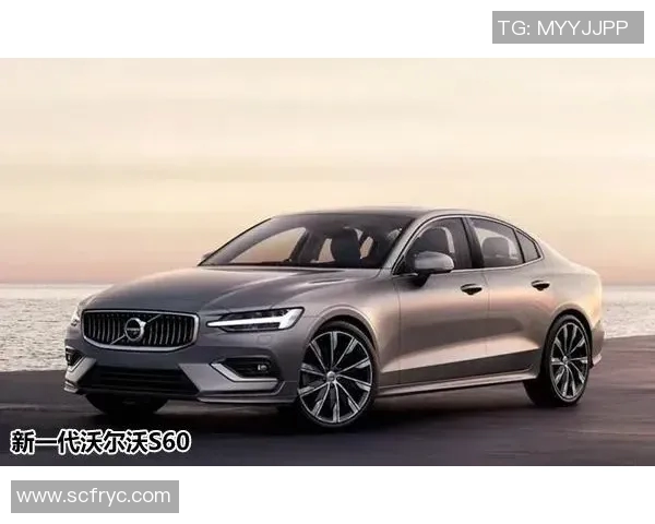 足球明星们的心声与愿望:他们对未来的祈求与期待 足球明星们的心声与愿望:他们对未来的祈求与期待