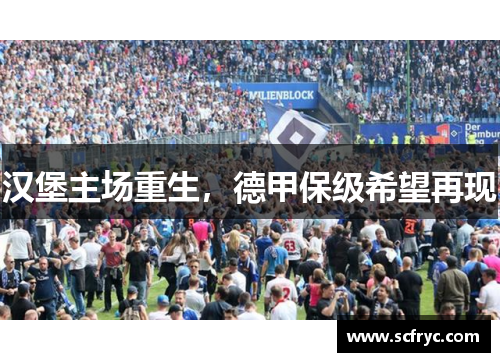 汉堡主场重生，德甲保级希望再现