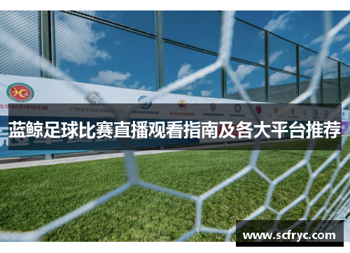 蓝鲸足球比赛直播观看指南及各大平台推荐