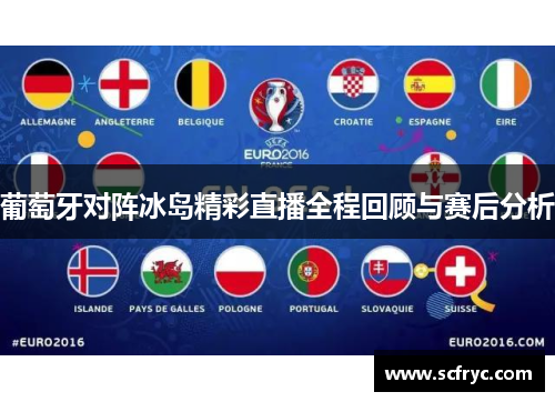 葡萄牙对阵冰岛精彩直播全程回顾与赛后分析